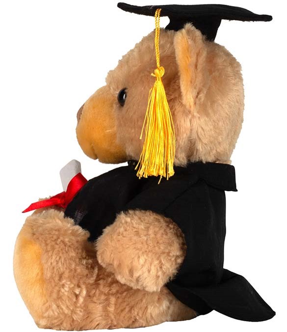 Mumbles Graduation Bear